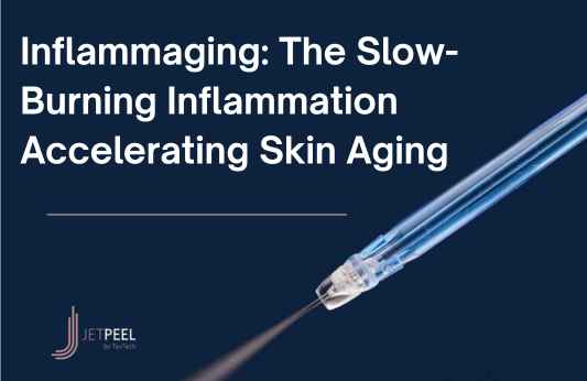 Inflammaging: The Slow-Burning Inflammation Accelerating Skin Aging