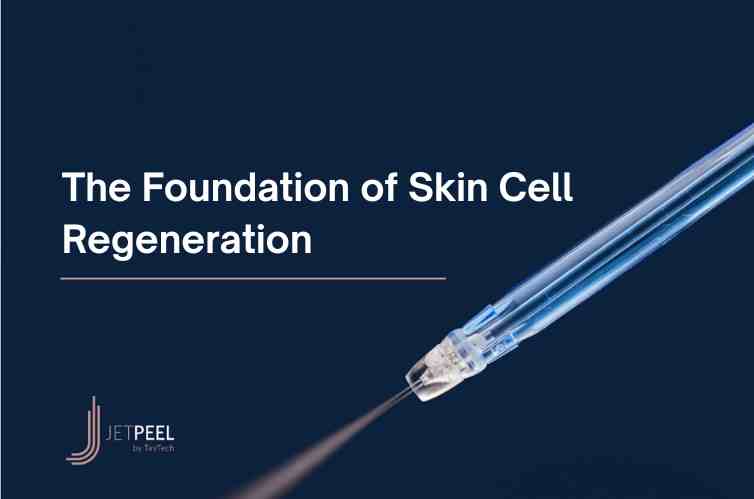 The Foundation of Skin Cell Regeneration