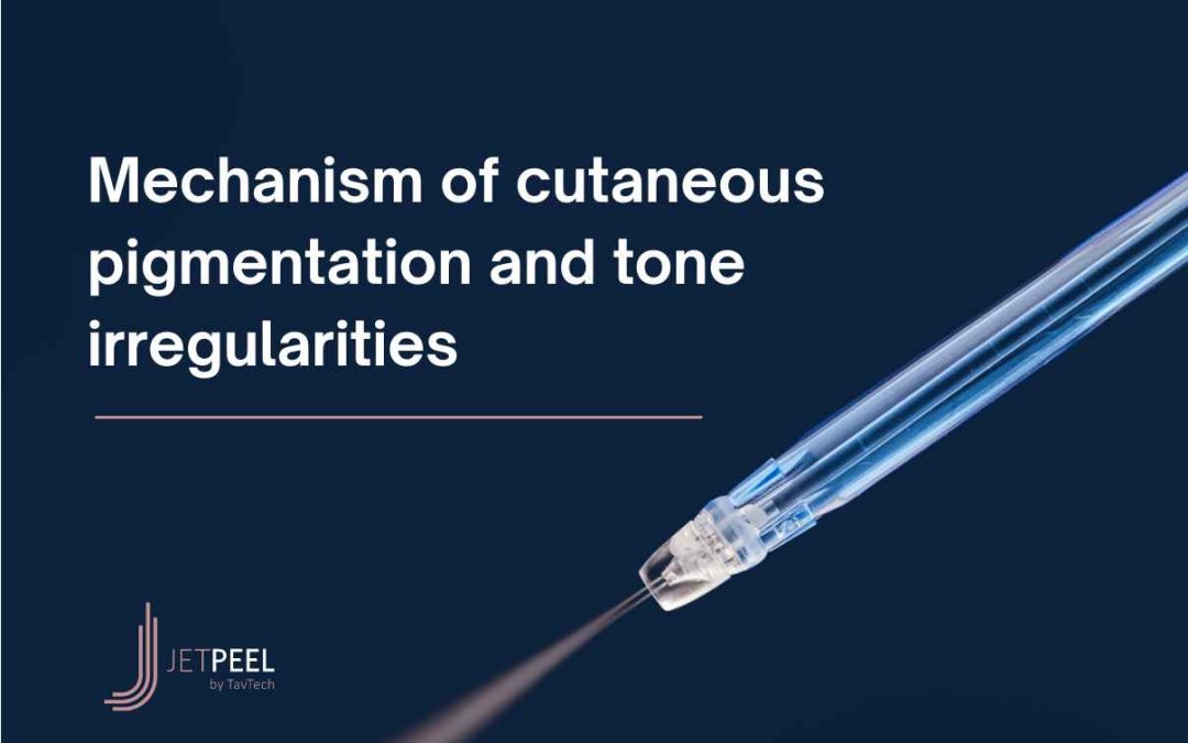 Mechanism of cutaneous pigmentation and tone irregularities