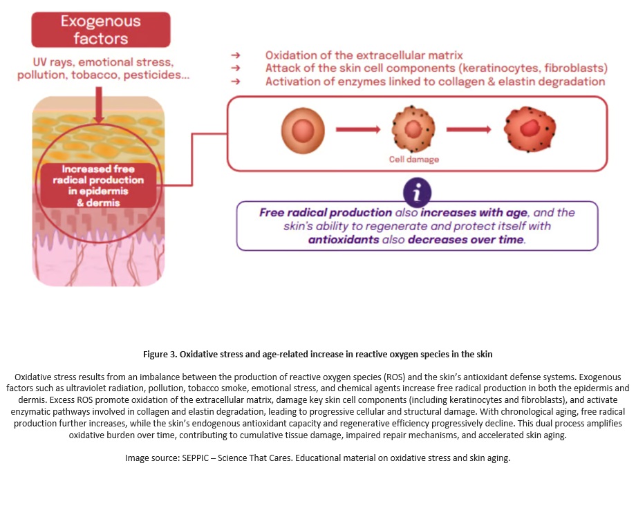 Oxidative stress and age-related Oxidative stress and age-related