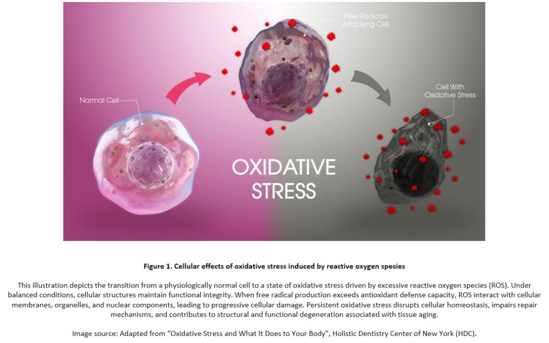 Cellular effects of oxidative stress
